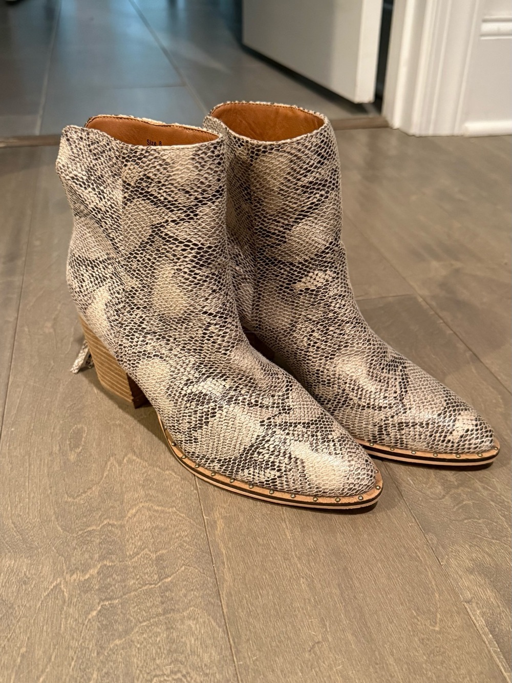 CCOCCI boots snakeskin NEVER WORN